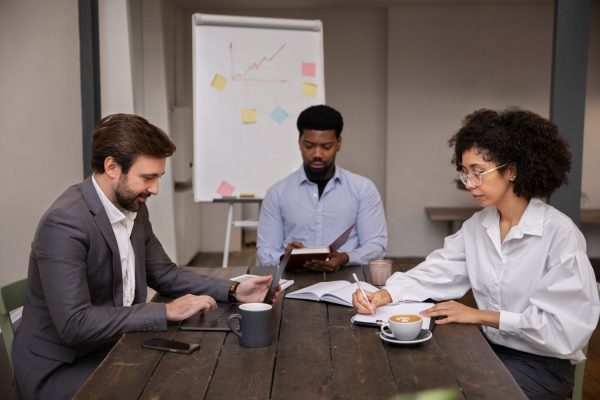 Strategic Business Mentorship